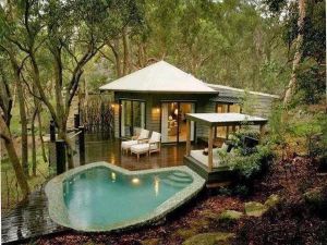Pictures - Garden with pool - blog about interior design - trees.jpg